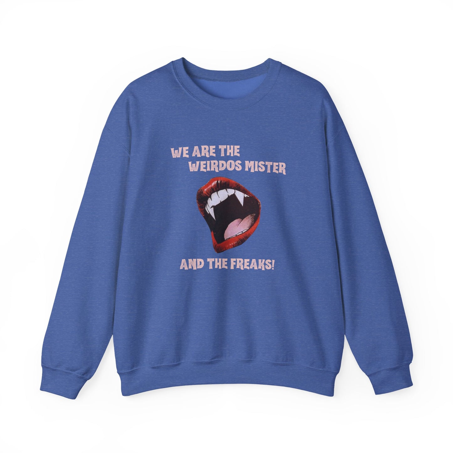 WE ARE THE WEIRDOS MISTER